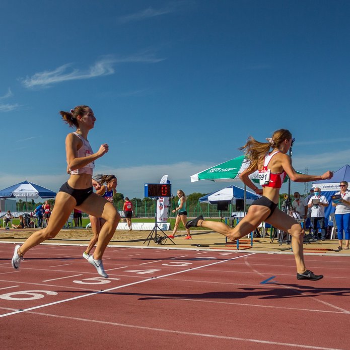 Biegaczki uniwersyteckie