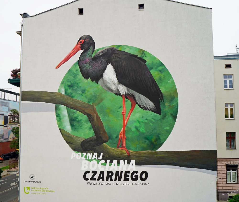 Zbliżenie muralu z bocianem czarnym