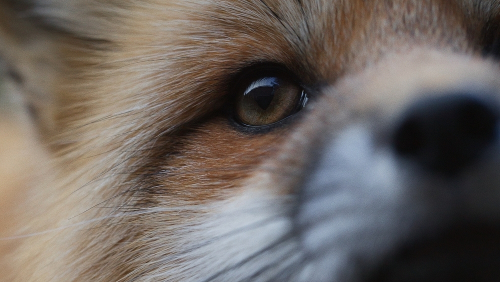 Kadr z filmu Kadr z filmu