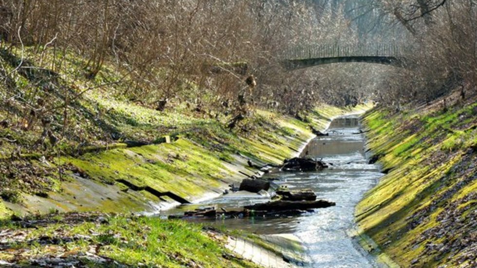 [Translate to English:] rzeka