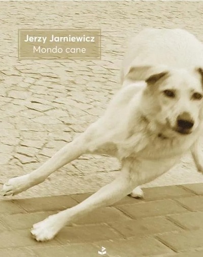 Strona tytułowa książki