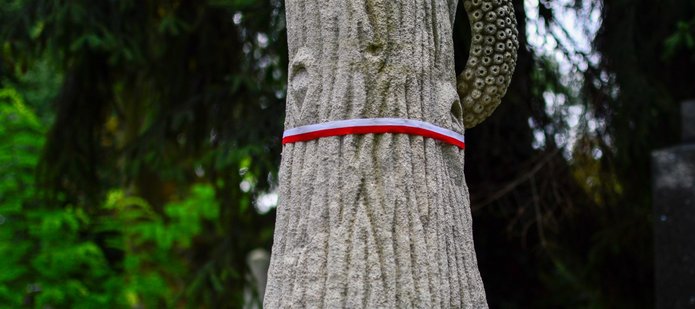 Drzewo przewiązane biało-czerwoną wstążką. Jedno miejsc upamiętnienia zbrojnego czynu Żołnierzy Wyklętych