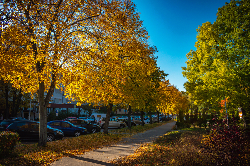 Polska złota jesień