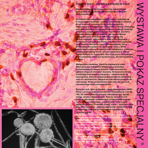 catalogue of the exhibition