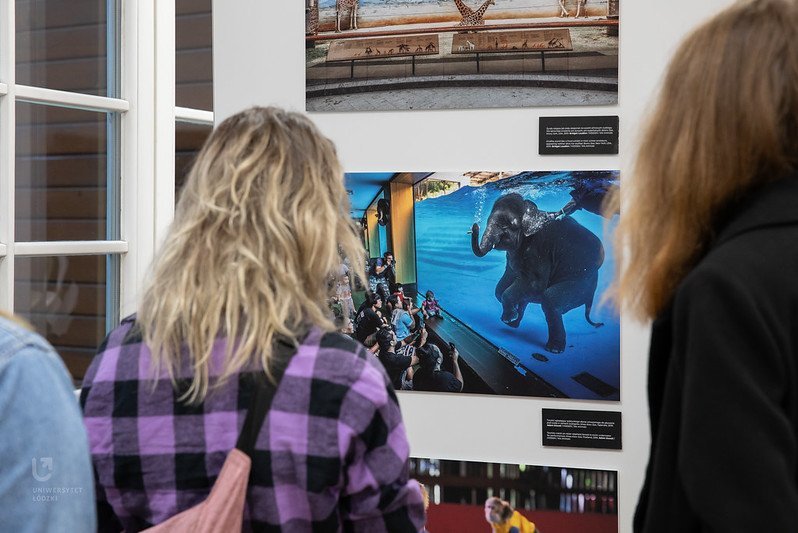 The photo shows people looking at a photo presented at the exhibition "HIDDEN – Animals in the Anthropocene"
