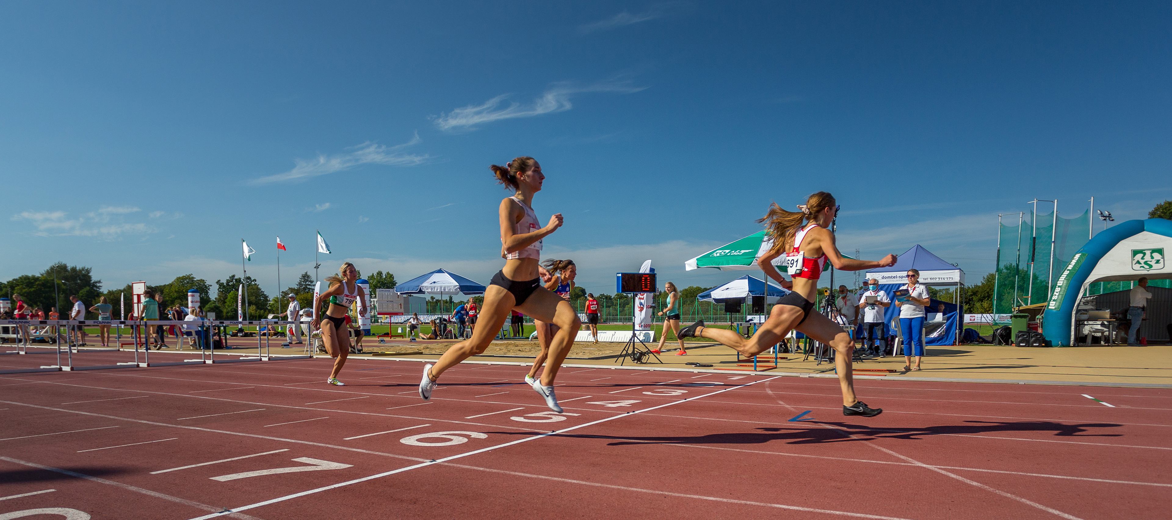 Biegaczki uniwersyteckie