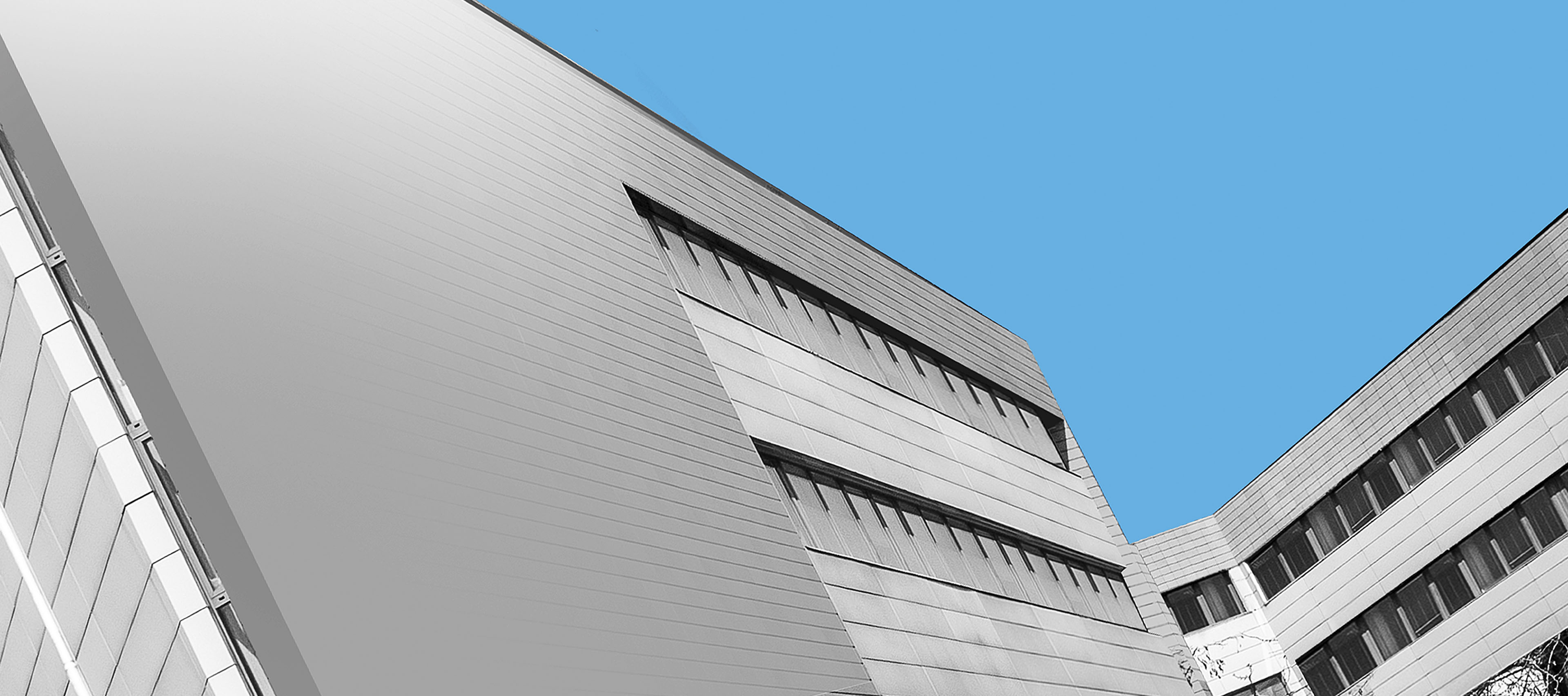 grafika z budynkiem Wydziału Zarządzania UŁ