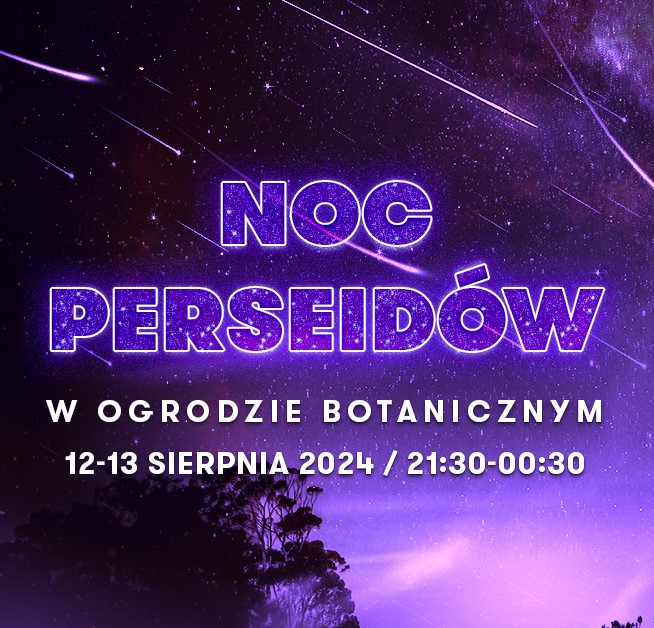 Grafika Noc Perseidów