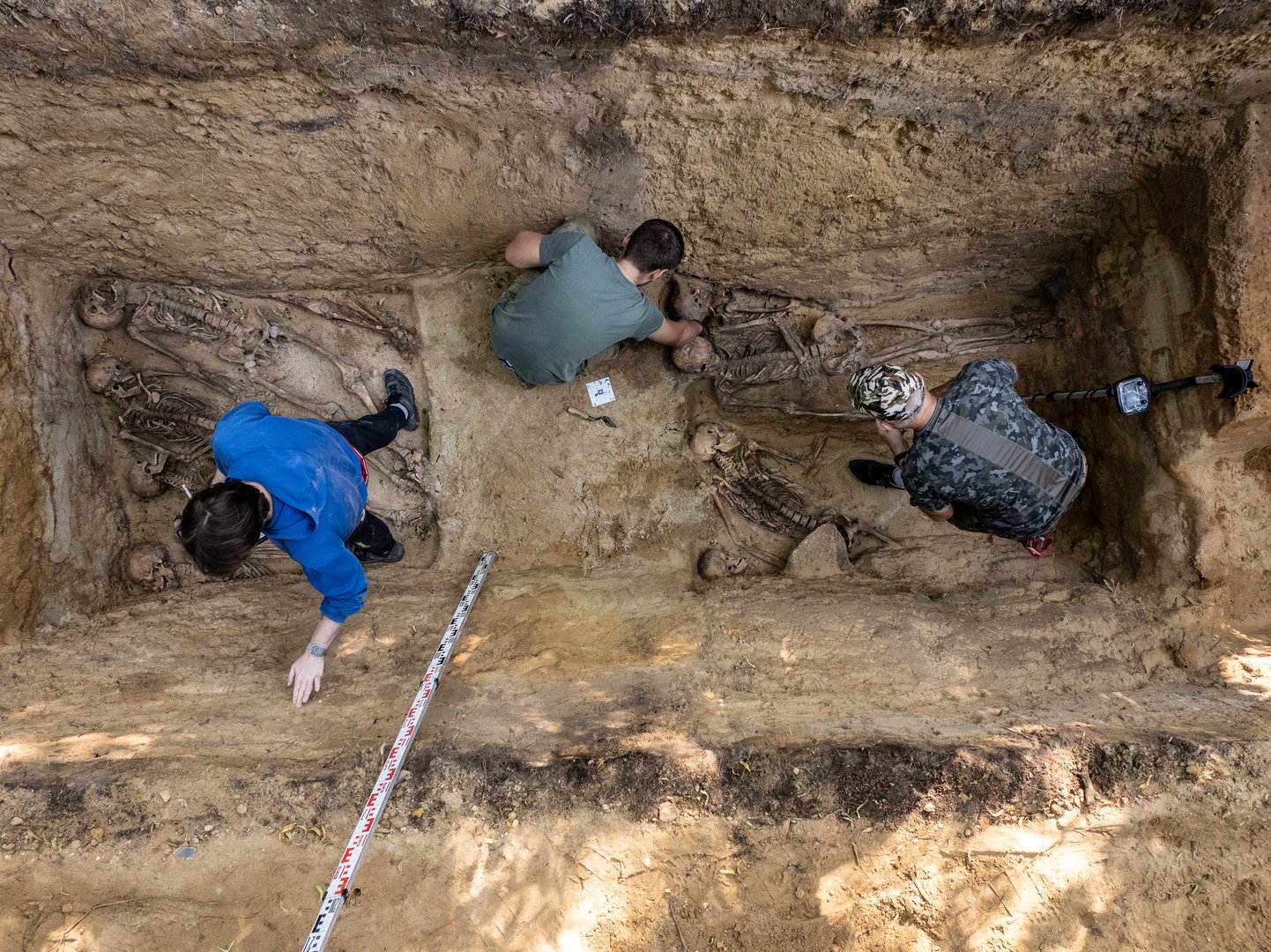 Widoczny wykop jamy grobowej. Na dnie ludzkie szkielety. Nad nimi pracujący archeolodzy. Widoczny wykop jamy grobowej. Na dnie ludzkie szkielety. Nad nimi pracujący archeolodzy.