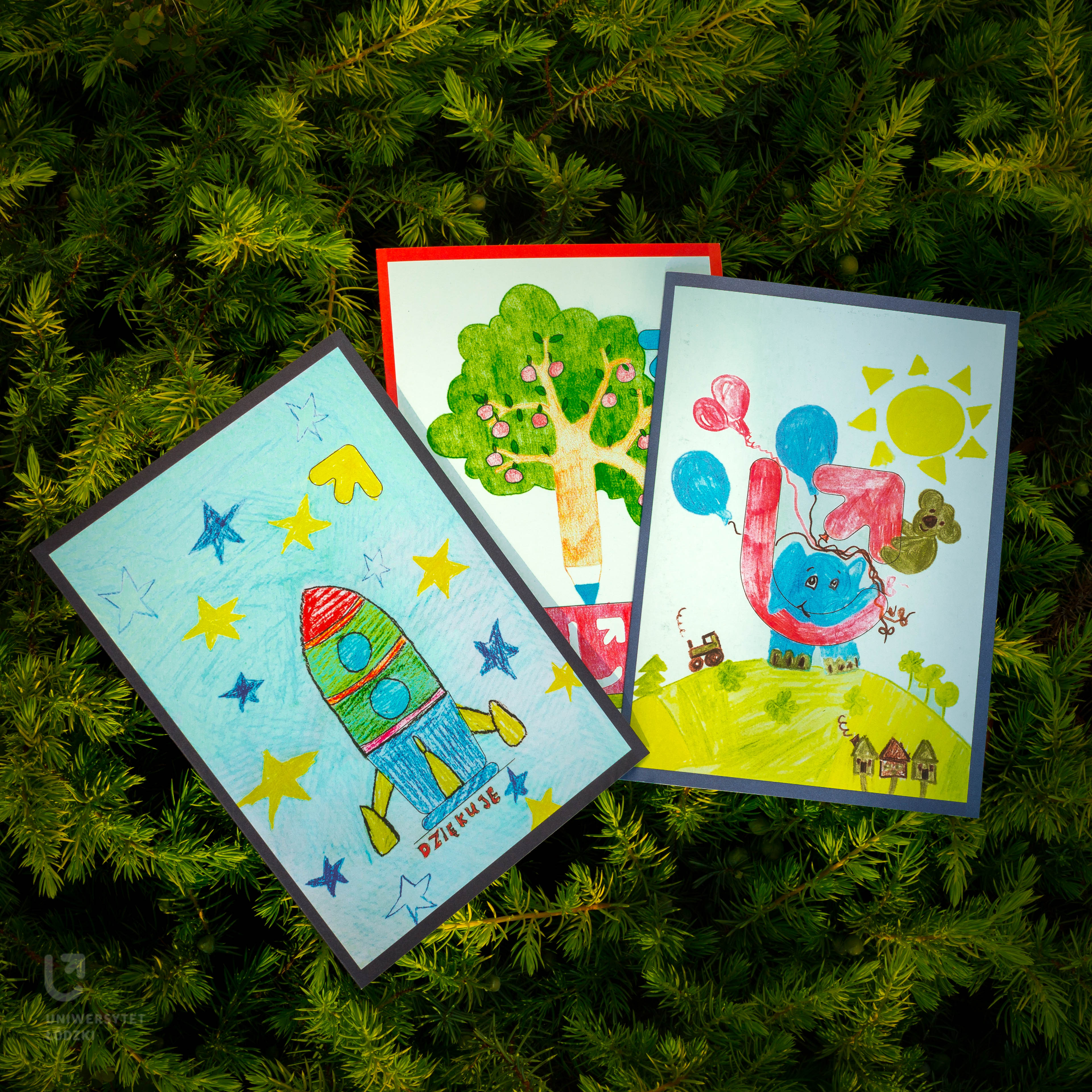 front pages of the cards