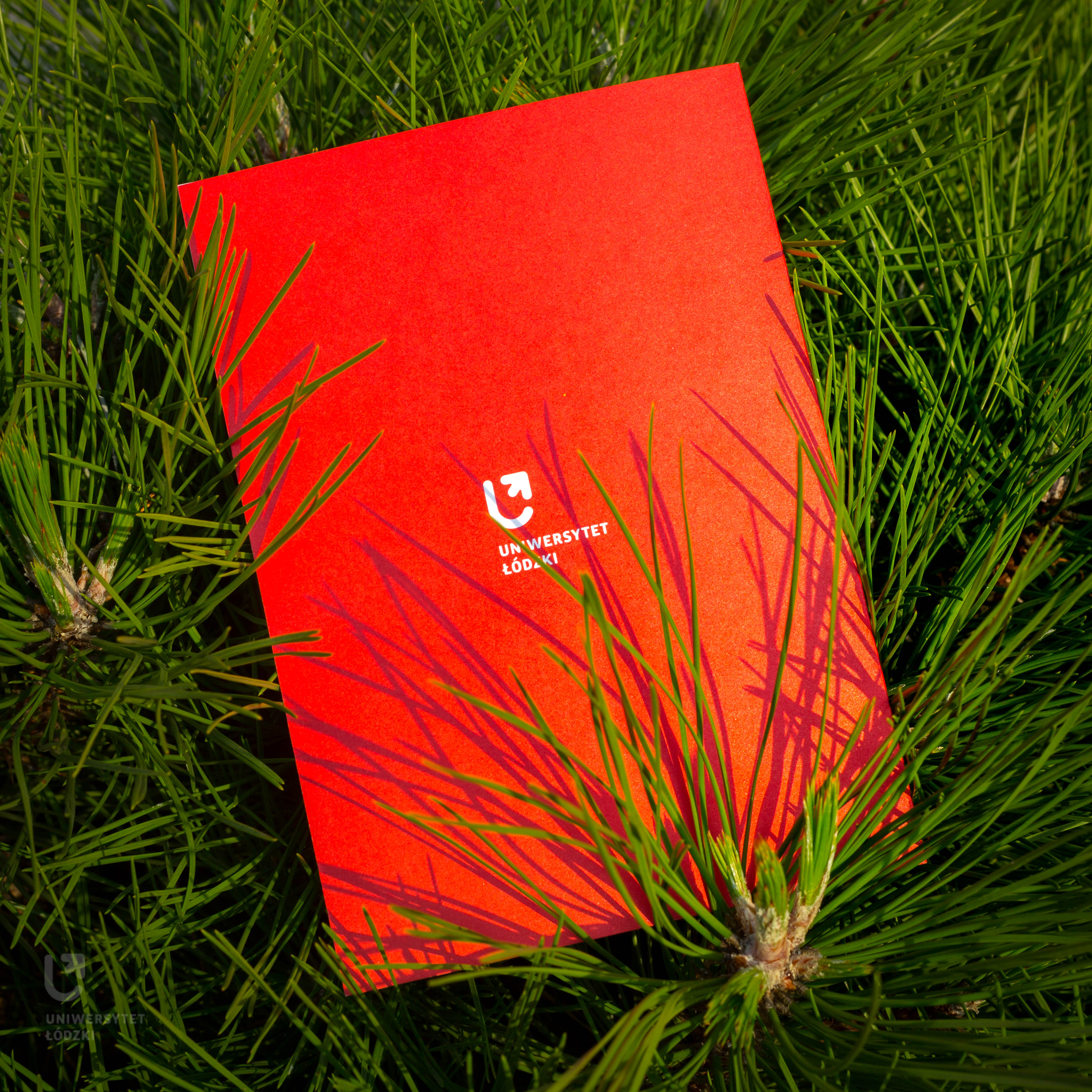 [Translate to English:] Tył kartek "Za kwiaty dziękujemy"