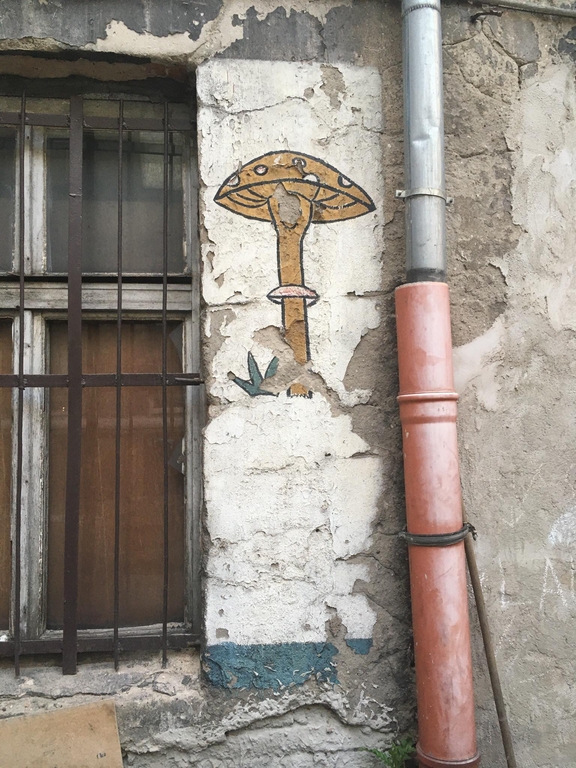 zaniedbane podwórko kamieniczne