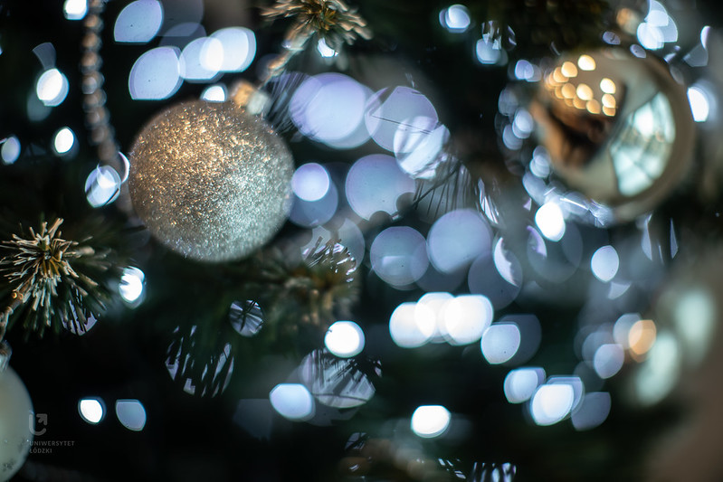 Fot. Bartosz Kałużny / CKiPR UŁ