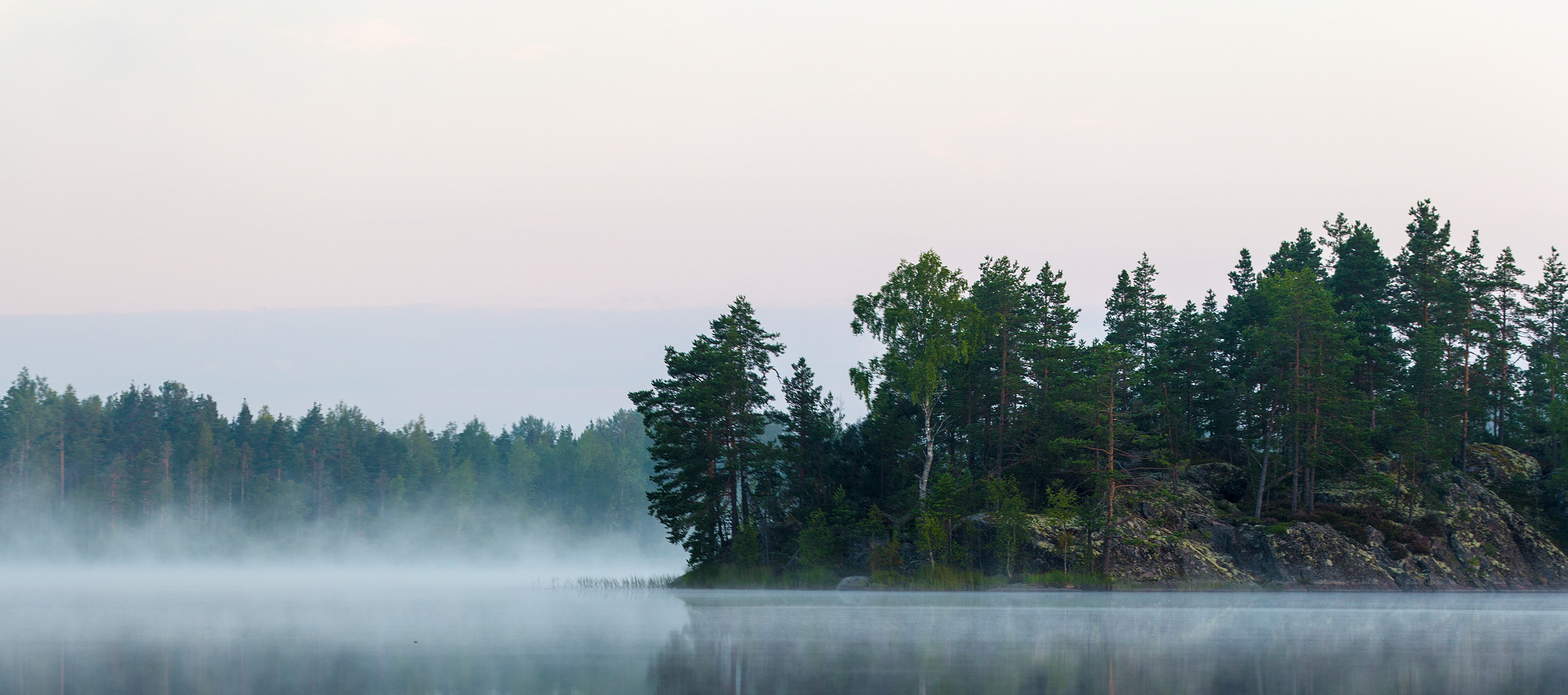 Zamglone jezioro w otoczeniu lasu