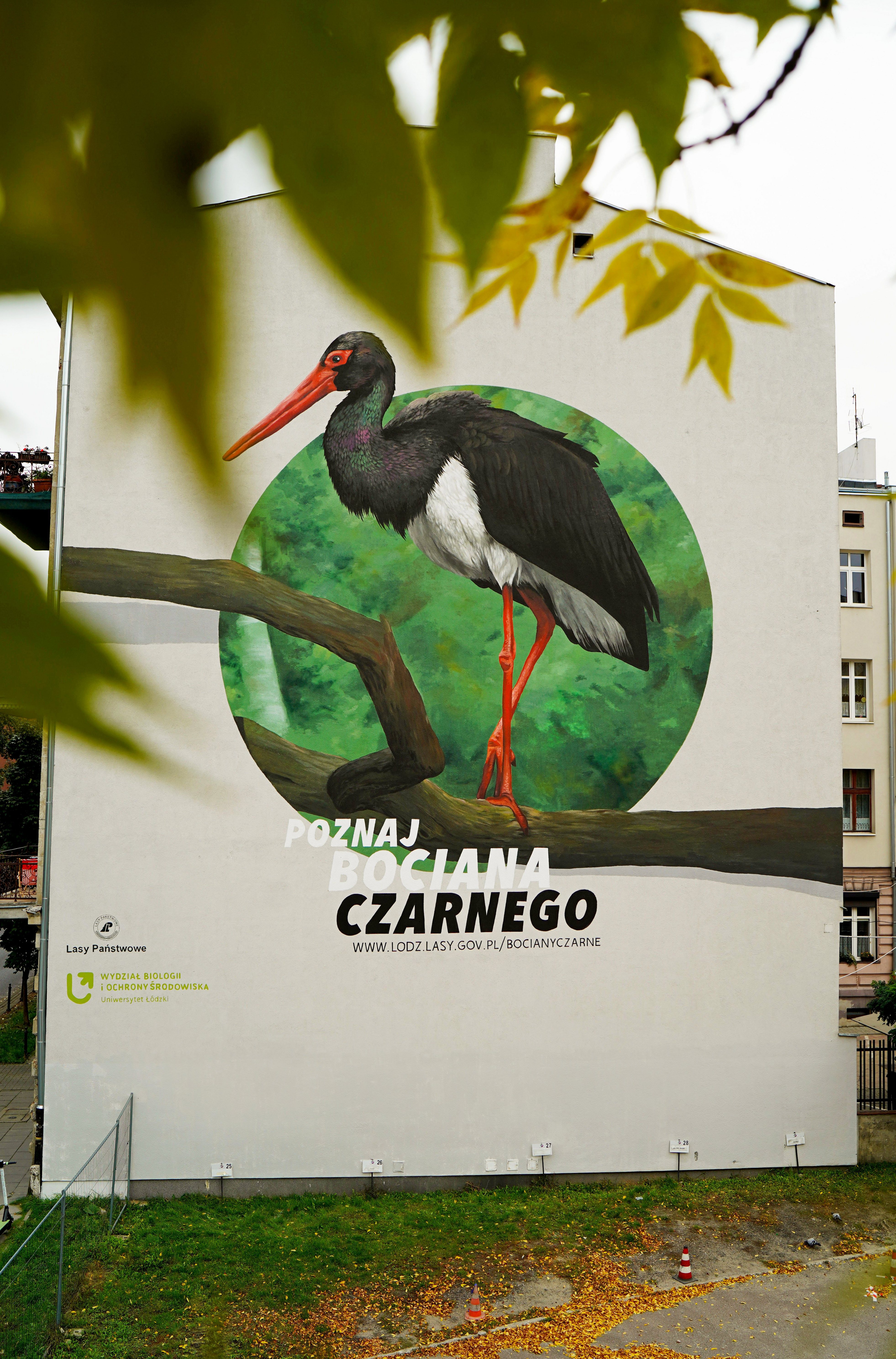 The mural of a black stork 
