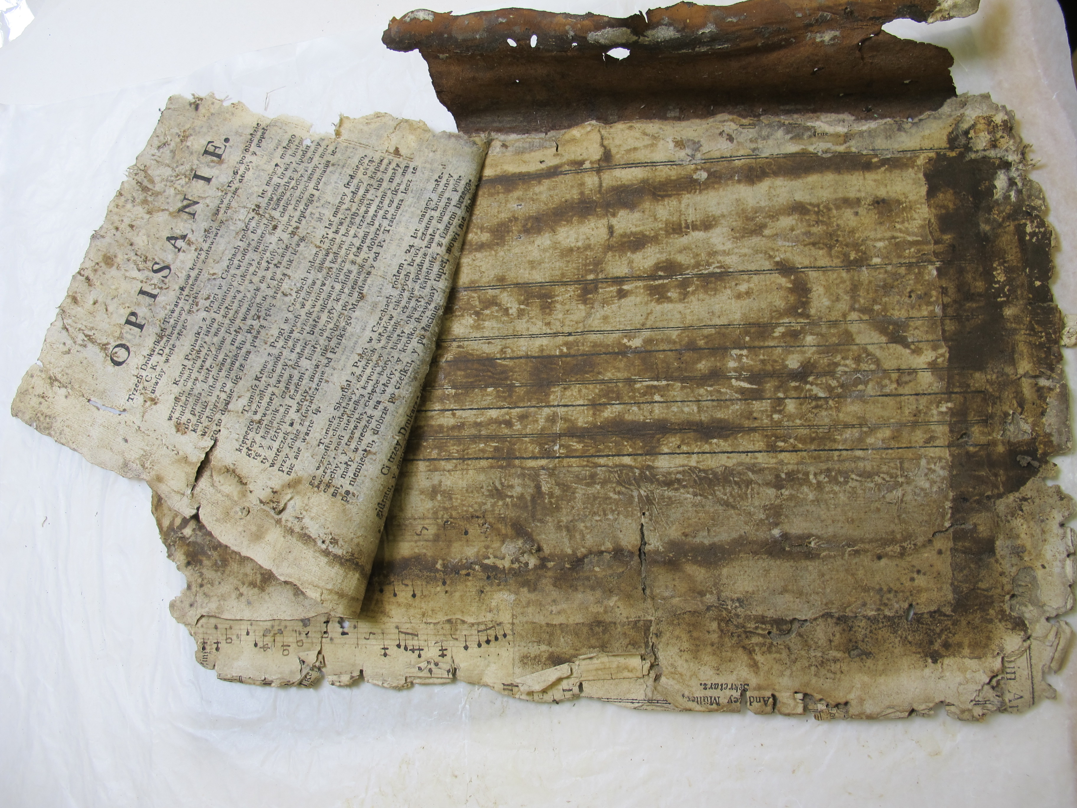 odkryte listy gończe