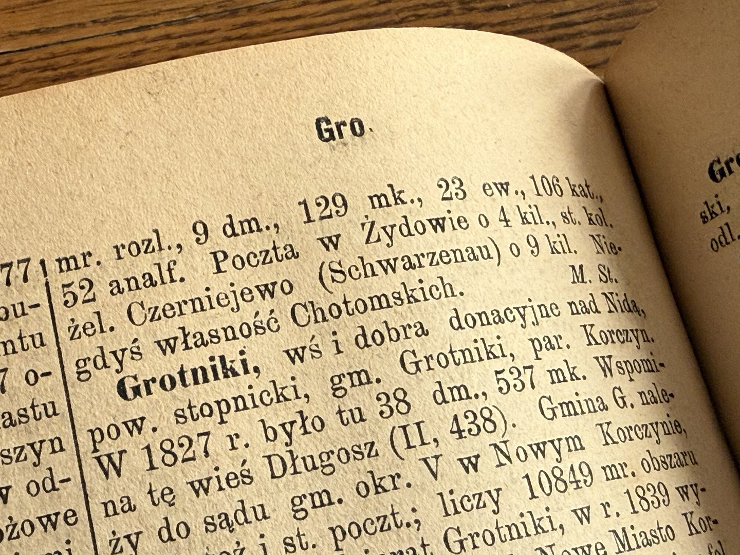 a photo of the dictionary page with the entry Grotniki