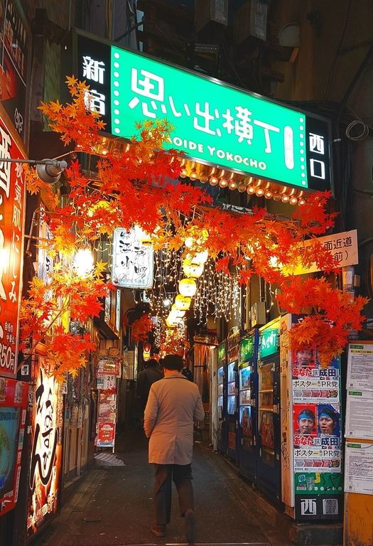 Widok japońskiego miasta