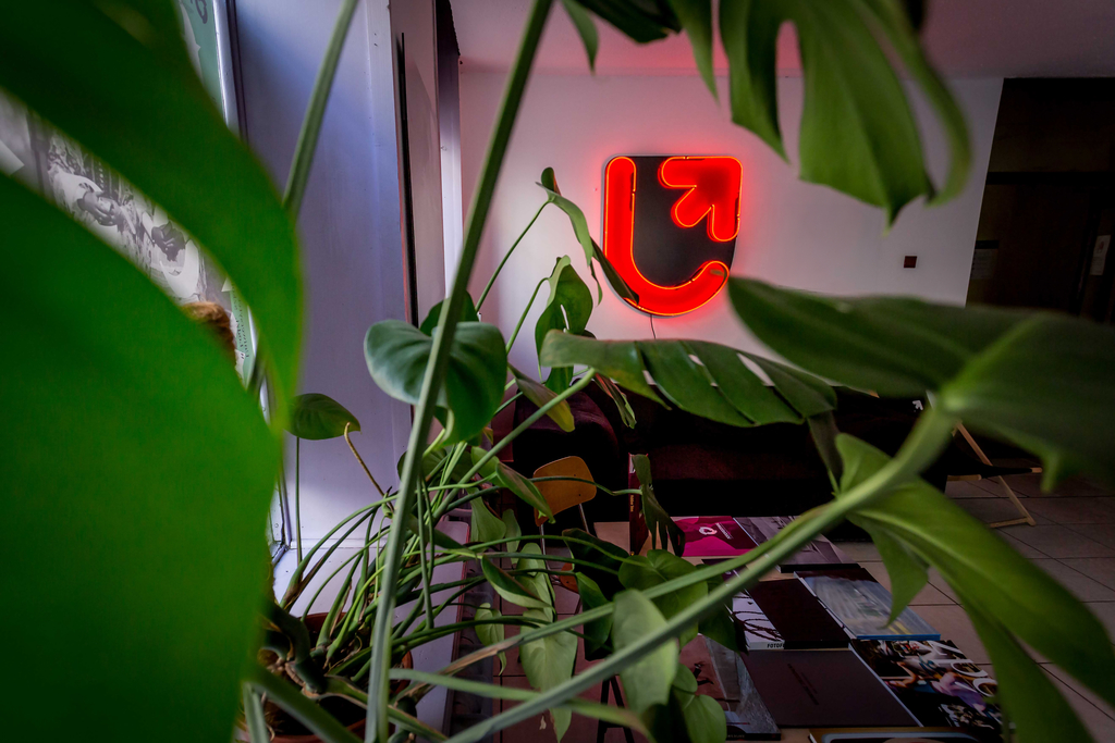 A photo depicting a room with a neon sign with the UniLodz logo and potted plants