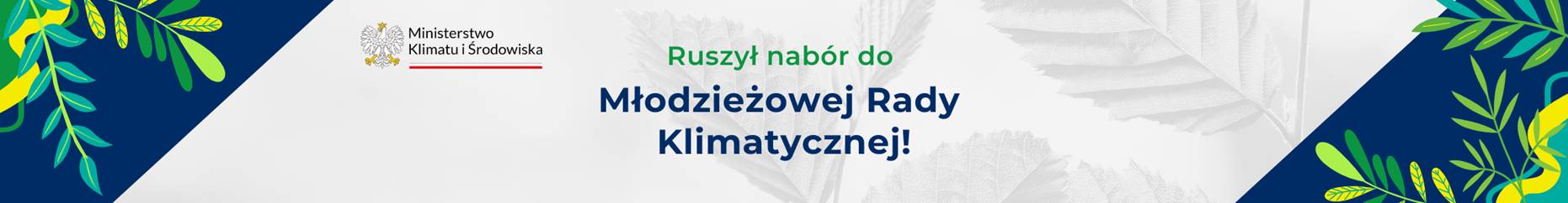 Grafika przedstawiająca liście roślin na niebieskim tle przełamane białym pasmem 