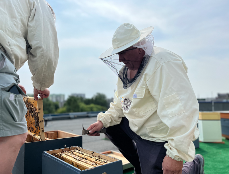 pszczelarze podczas montowania nowych uli na dachu BUŁ