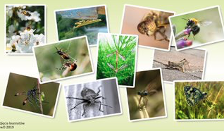 prace laureatów 2019