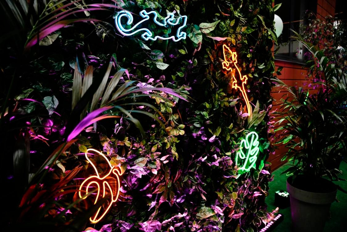 Jungle Web instalacja neonowa