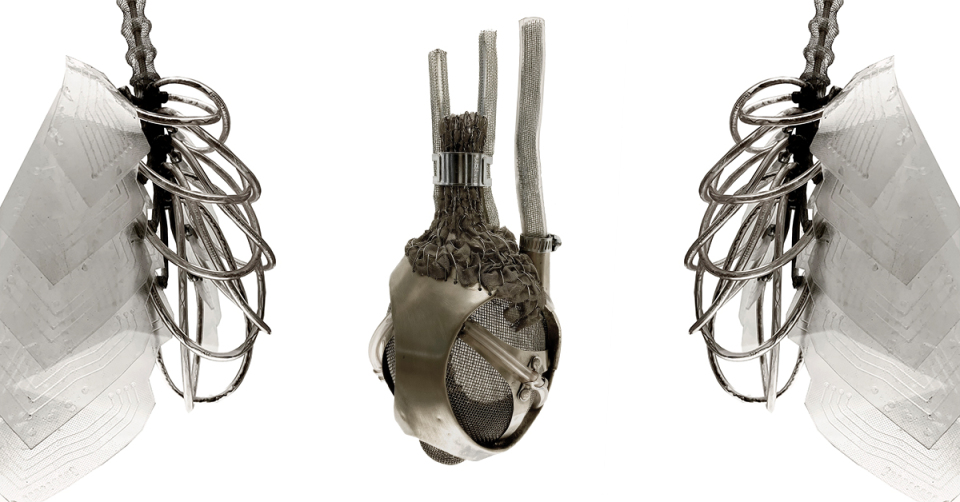 zdjęcie obiektów artystycznych: sztucznych płuc, serca, trzustki