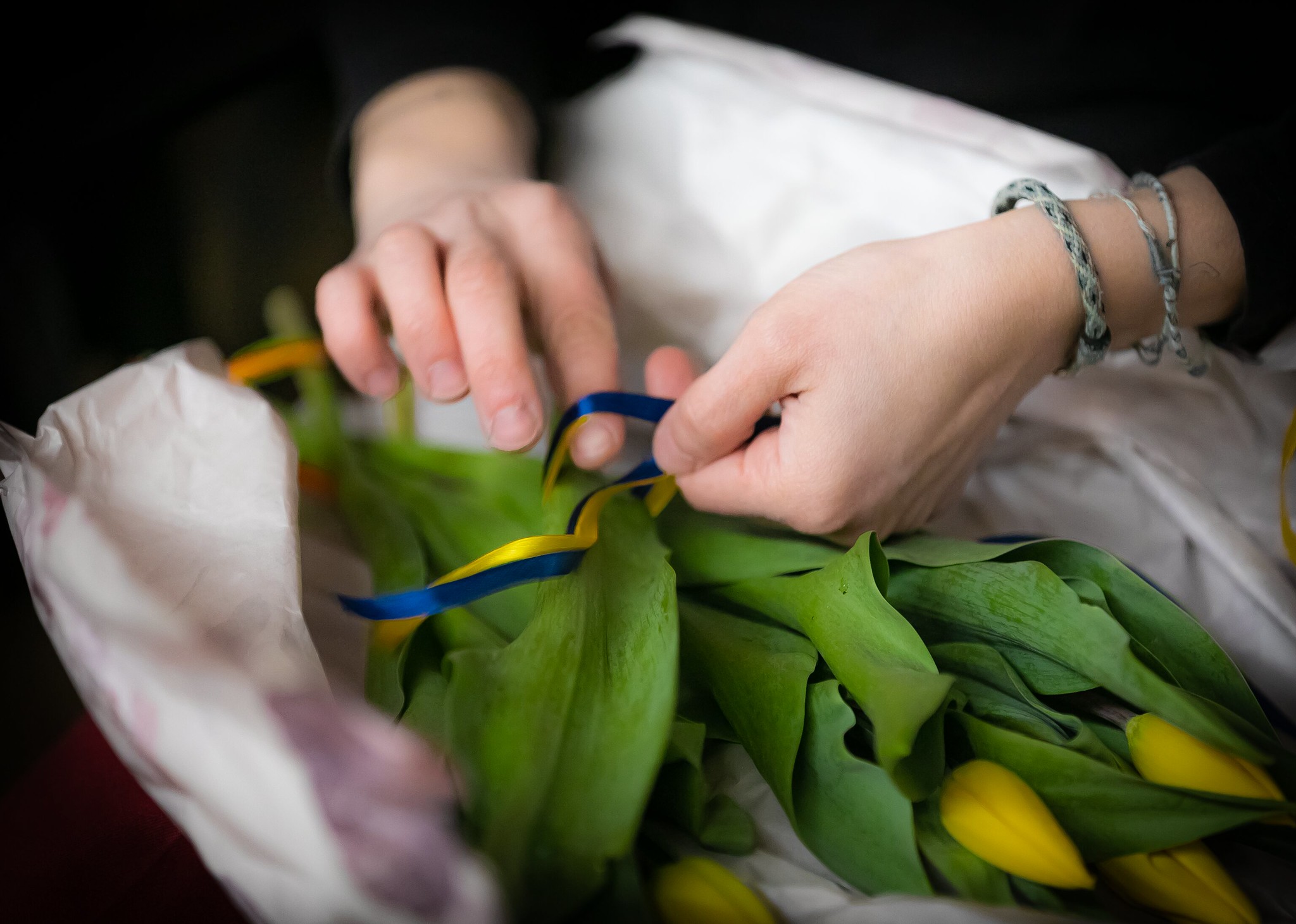 Bukiet tulipanów z wstążką w kolorach flagi Ukrainy