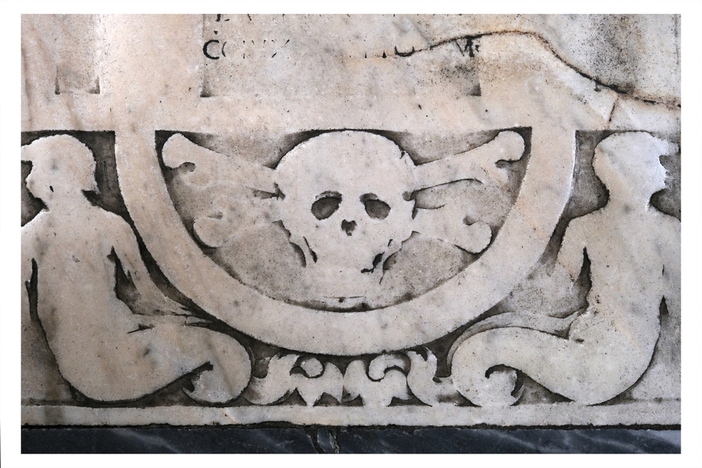 A skull, photo by Tomasz Ferenc